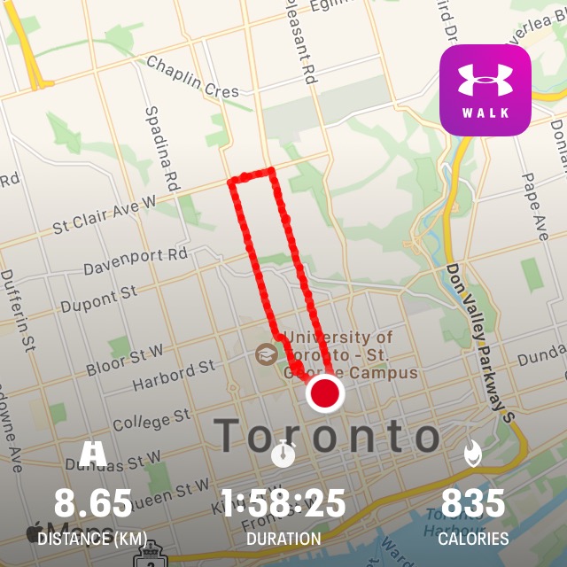 Toronto Walkabout – January 31, 2021