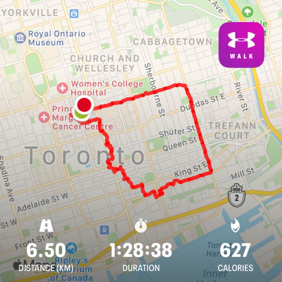 Toronto Walkabout – February 6, 2021