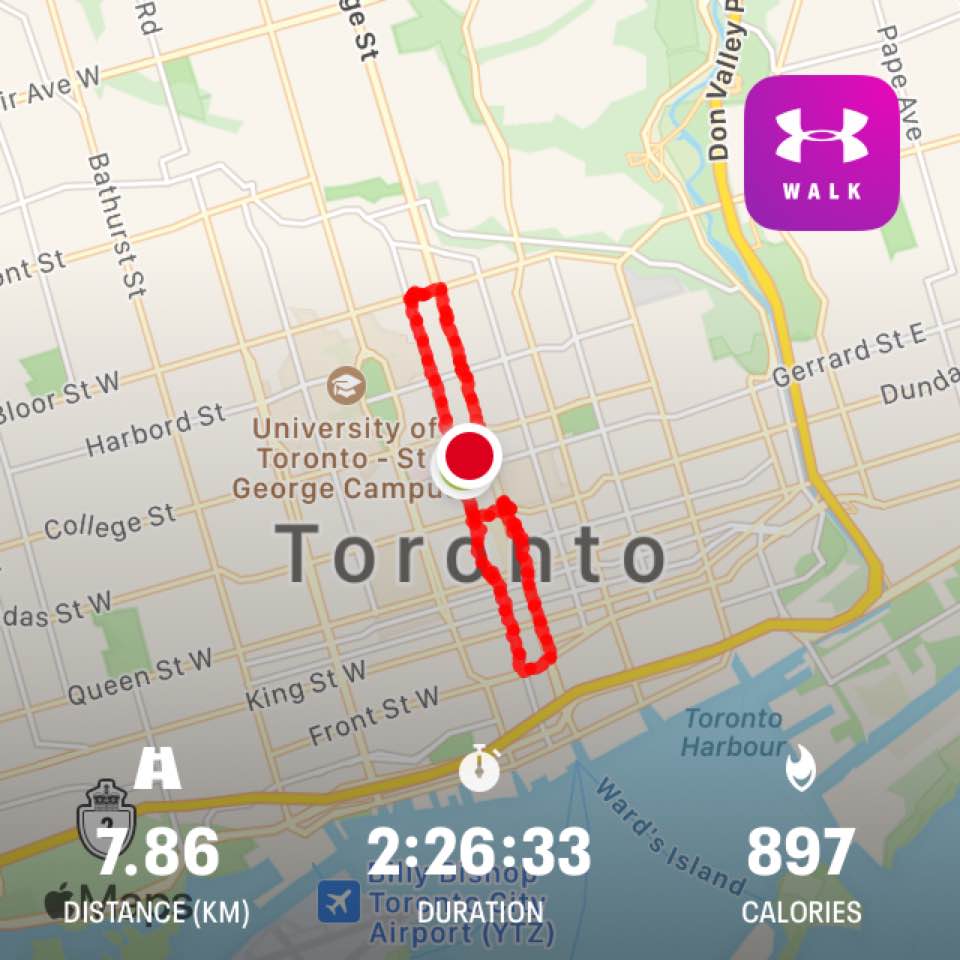 Toronto Walkabout – February 20, 2021