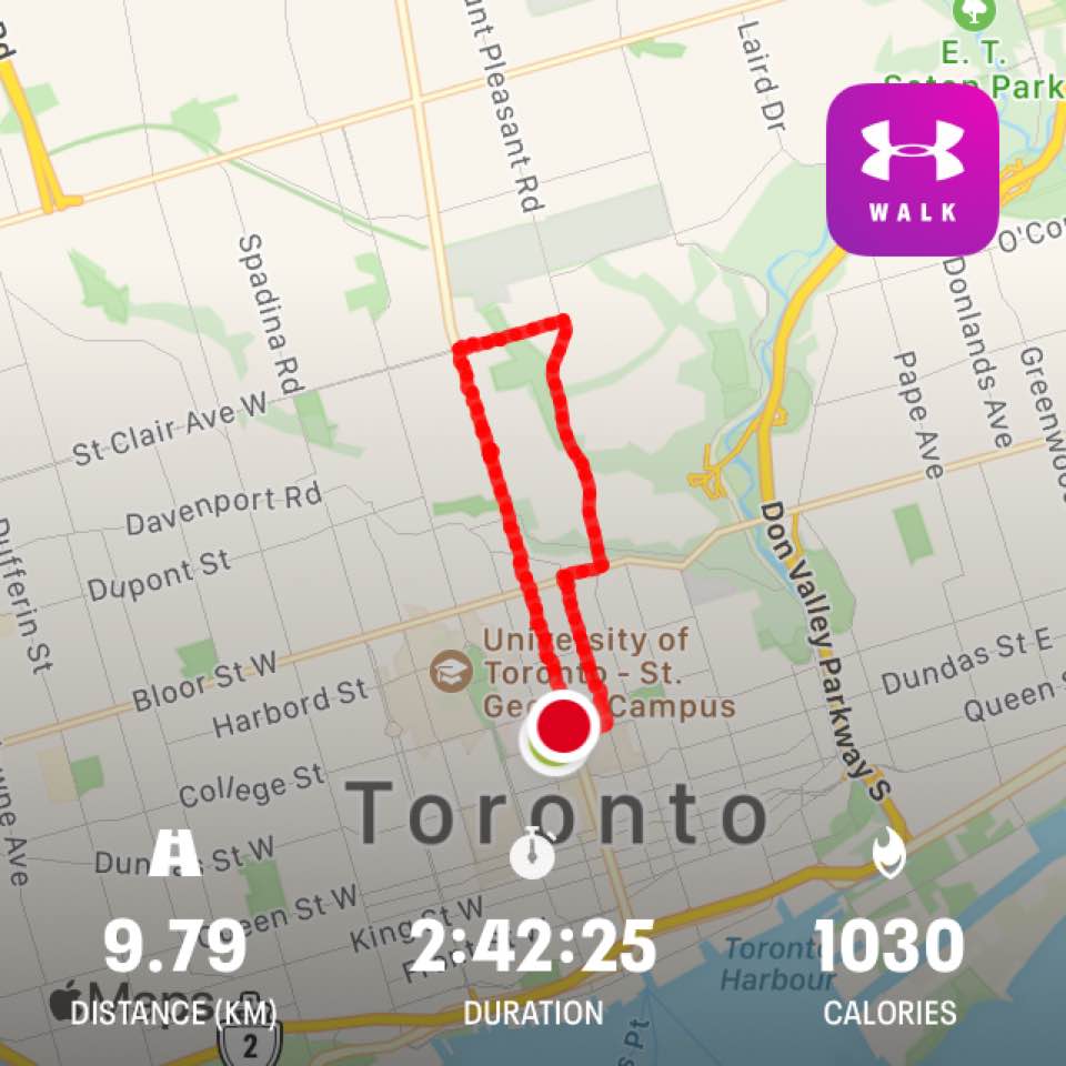 Toronto Walkabout – February 22, 2021