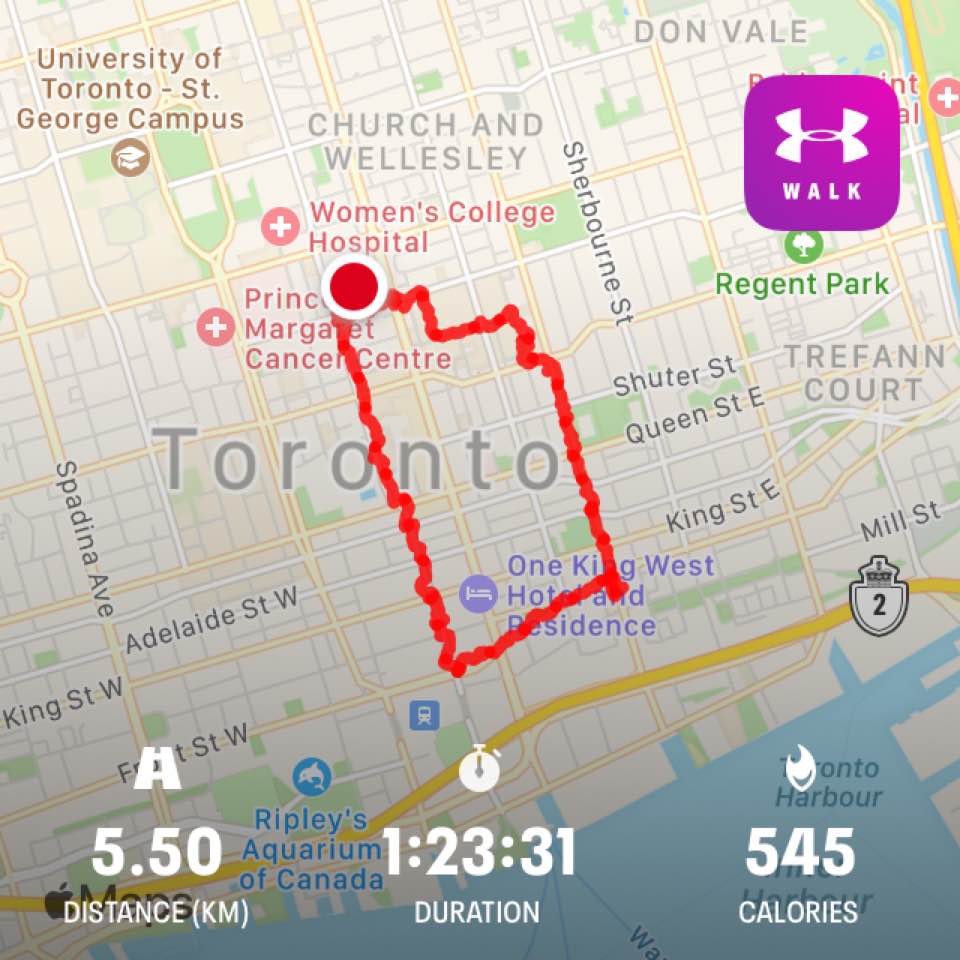 Toronto Walkabout – February 27, 2021