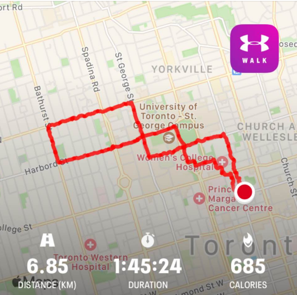 Toronto Walkabout – February 4, 2021