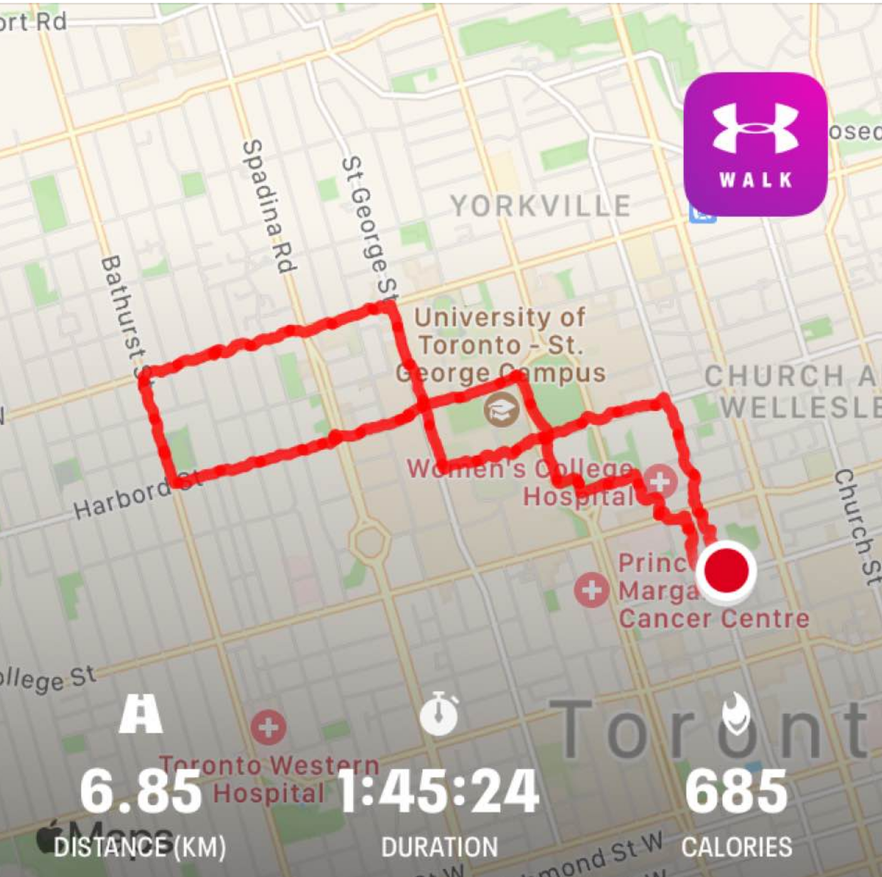 Toronto Walkabout – February 1, 2021