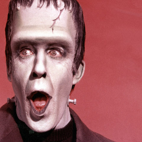 Fred Gwynne as Herman Munster