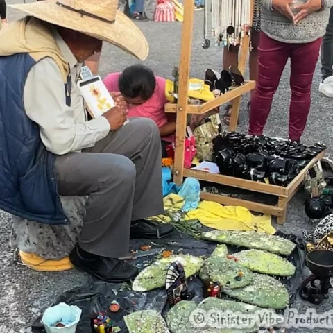 photo of Mexican man painting with cactus leaves.