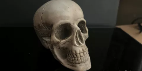 photo of sedlec ossuary skull