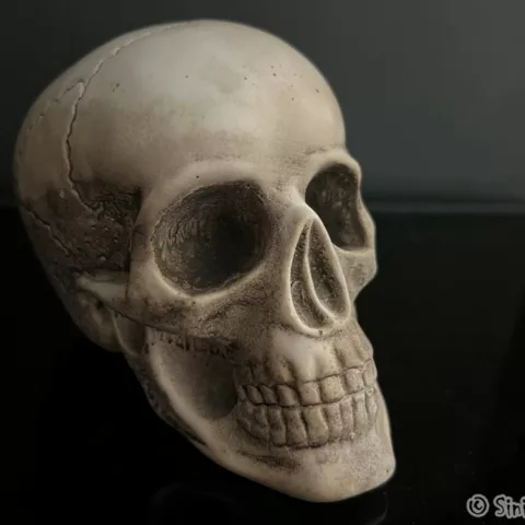 photo of sedlec ossuary skull