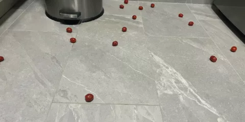 photo of cherry tomatoes on kitchen floor