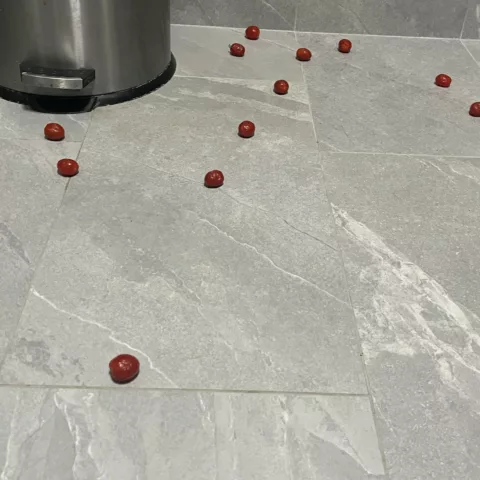 photo of cherry tomatoes on kitchen floor