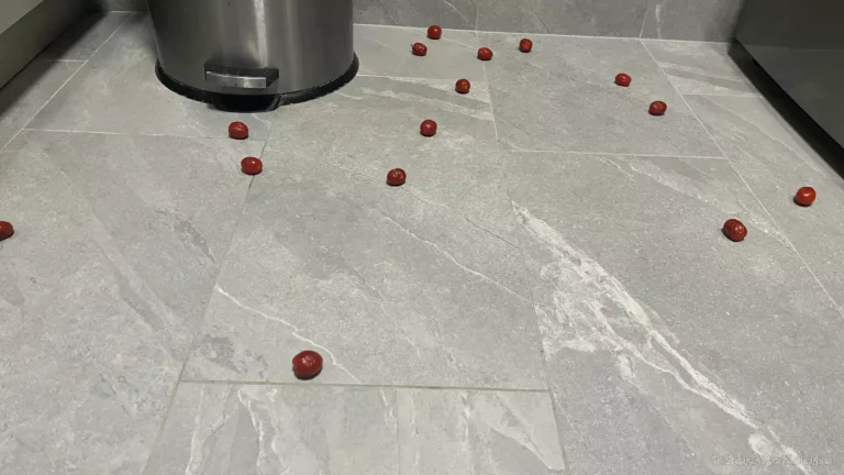 photo of cherry tomatoes on kitchen floor