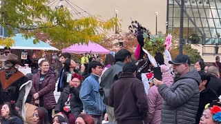 Feliz Día De Los Muertos From My Backyard!  Toronto 2025