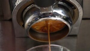 Silvia Shot August 16 2025