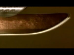 Roast Final Steve Score